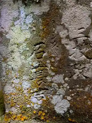 矢口神社(千葉県)