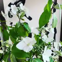 豊景神社の自然