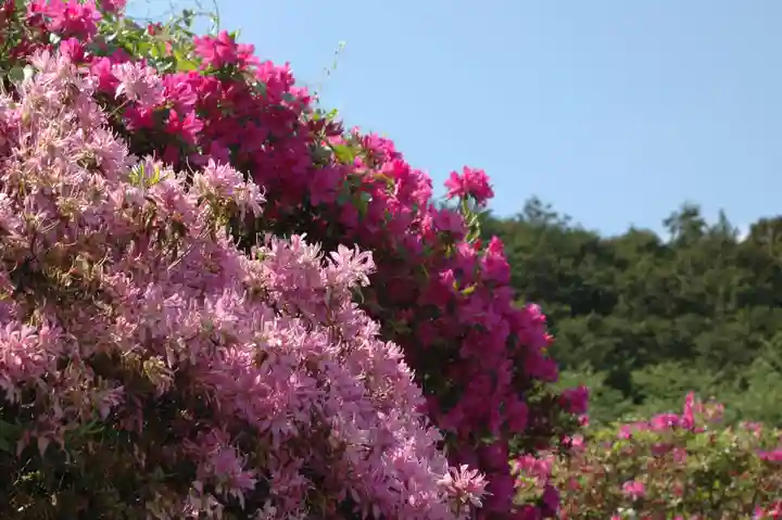 五大尊堂(長徳寺)の自然
