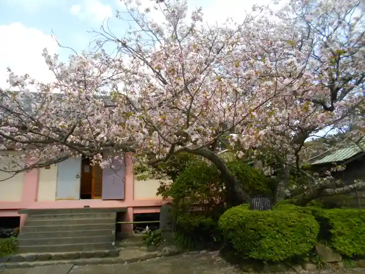 極楽寺(霊鷲山感應院極楽律寺)の自然