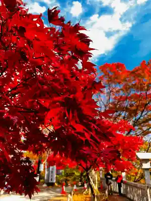 大山阿夫利神社(神奈川県)