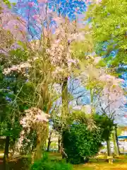 岡見八坂神社(茨城県)