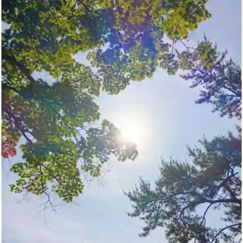 彌彦神社　(伊夜日子神社)(北海道)