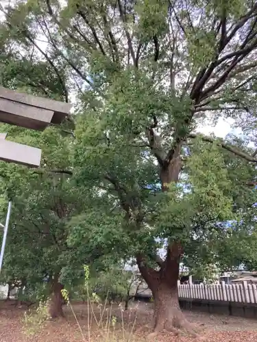 備後天満神社の自然