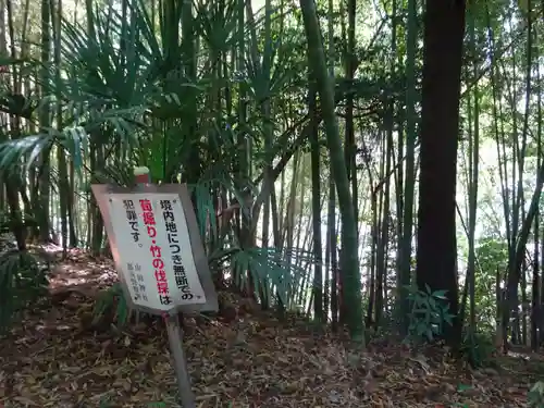 山田神社の自然