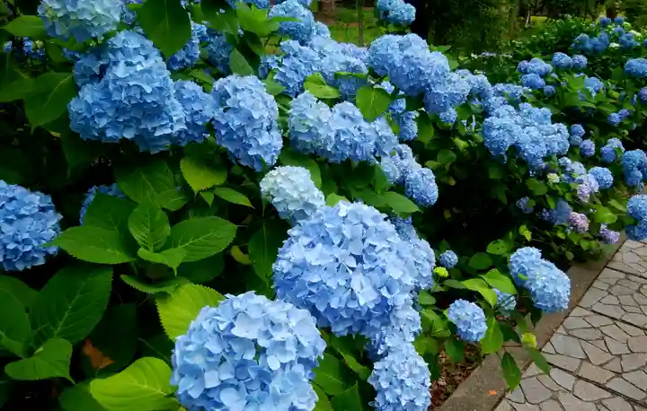 有珠善光寺の自然