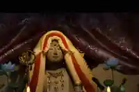 地蔵院(椿寺)(京都府)