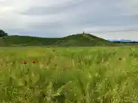 熊野神社(琵琶塚古墳)(栃木県)