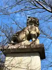 今山八幡宮の狛犬