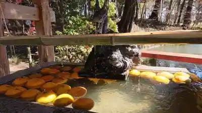 間々田八幡宮の手水舎