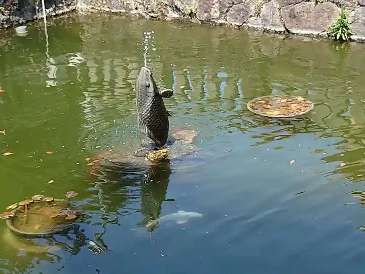 知立神社の狛犬