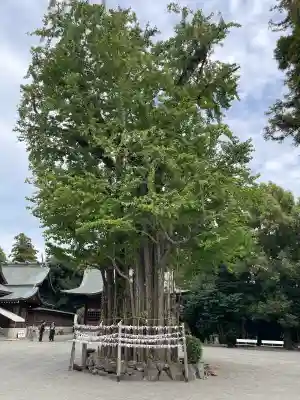 健軍神社(熊本県)
