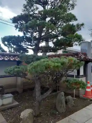 恩流寺(岩手県)