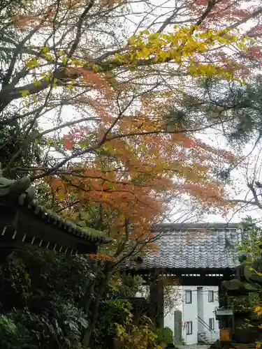 安國論寺（安国論寺）の自然