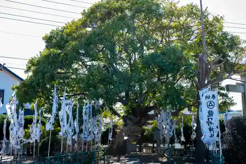 龍口明神社の自然