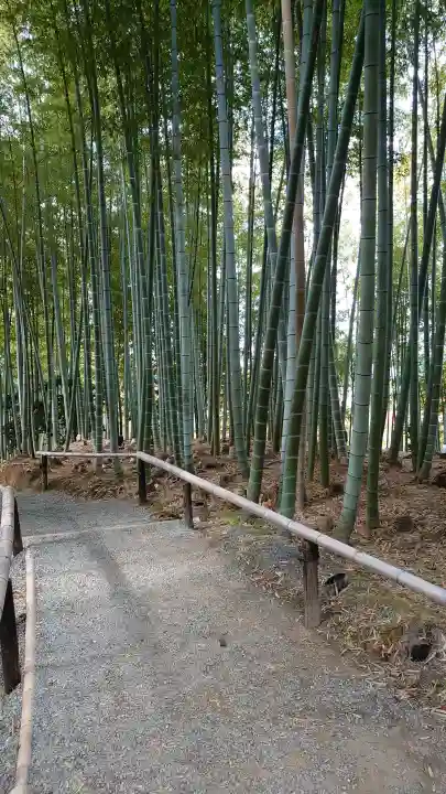 高台寺(高台寿聖禅寺・高臺寺)の{uncategorized: "未分類", other: "その他", undefined: "問題あり", building: "その他建物", grave: "お墓", sacred_gate: "鳥居", guardian: "狛犬", statue: "像", buddha: "仏像", history: "歴史", nature: "自然", garden: "庭園", animal: "動物", pagoda: "塔", temizu: "手水舎", mountain_gate: "山門・神門", sanctuary: "本殿・本堂", subordinate: "末社・摂社", art: "芸術", scenery: "景色", jizo: "地蔵", ema: "絵馬", goshuin: "御朱印", omikuji: "おみくじ", items: "授与品その他", amulet: "お守り", goshuincho: "御朱印帳", eats: "食事", festival: "お祭り", votive_dance: "神楽", shichigosan: "七五三参", wedding: "結婚式", experience: "体験その他", initially: "初詣", around: "周辺", anti_infection: "感染症対策"}