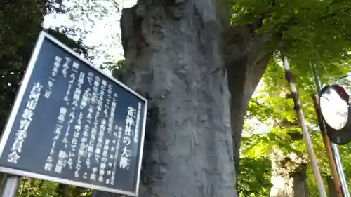 雀神社(茨城県)