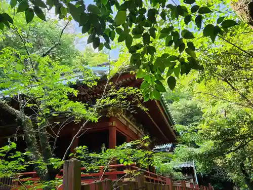 静岡浅間神社の本殿