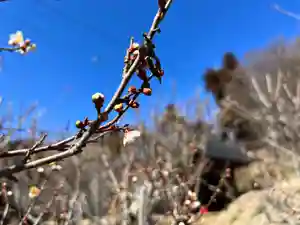 国宝 大法寺(長野県)(2023年03月05日(日) 19時17分56秒投稿)