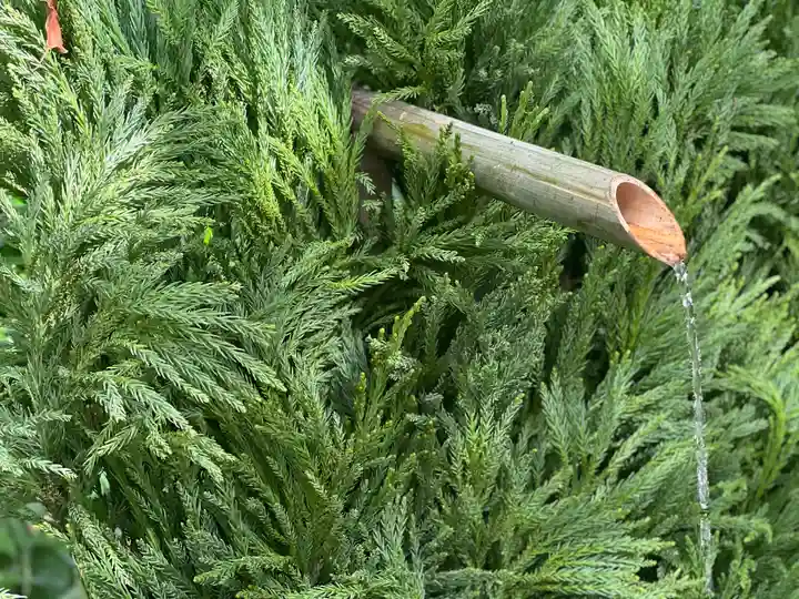 賀茂御祖神社(下鴨神社)の手水舎