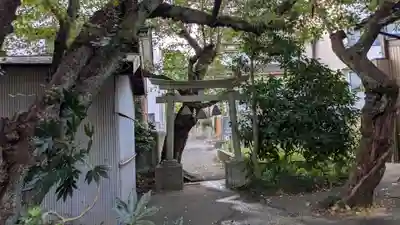 中川熊野神社の鳥居