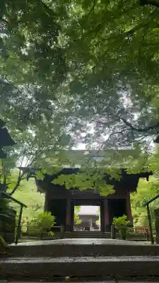 妙本寺(神奈川県)
