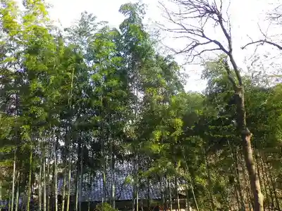 光則寺(神奈川県)