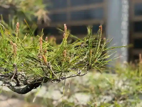 西方山極楽寺(岐阜県)