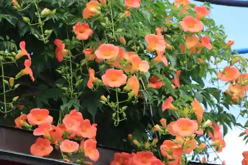 大鏑神社の自然