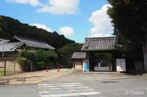 金剛寺(大阪府)