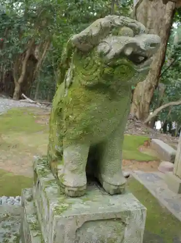 須須神社の狛犬