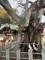 阿邪訶根神社(福島県)