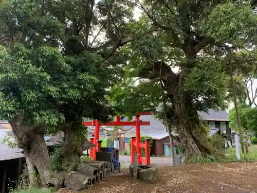 諏訪神社の鳥居