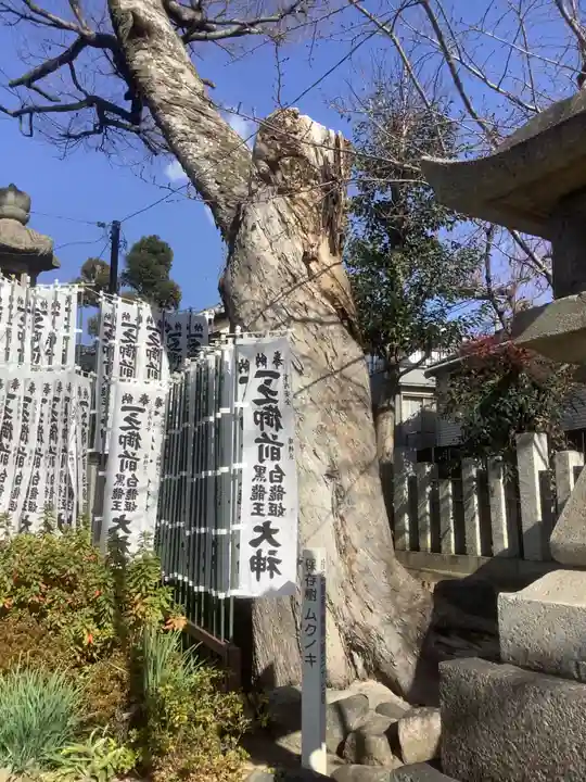 一之御前社の末社・摂社