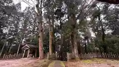 大森神社(兵庫県)