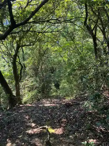 農神社(徳島県)