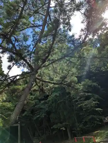 石清水八幡宮(京都府)