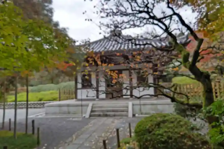 龍安寺(京都府)