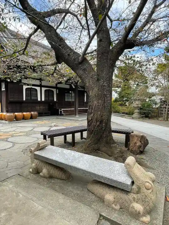 泥牛庵のその他建物