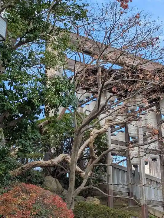 伊勢山皇大神宮(神奈川県)