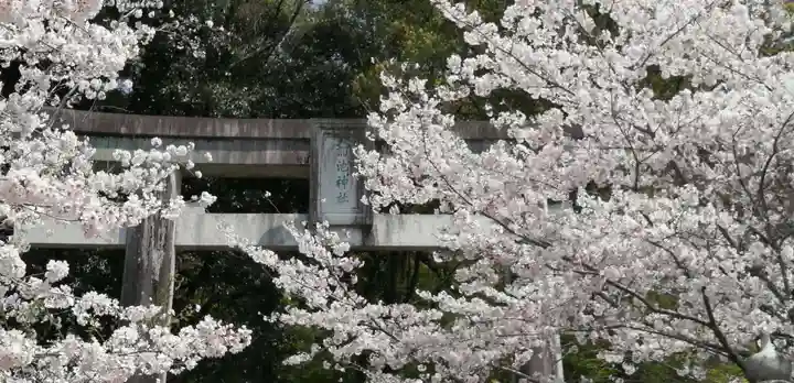 菊池神社のその他建物