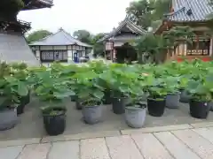 中山寺の建物その他