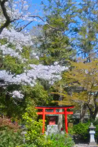 富士山本宮浅間大社(静岡県)