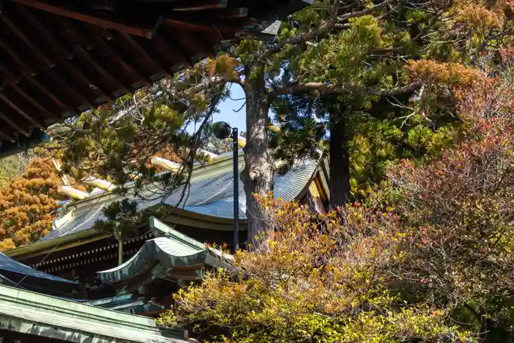 宮地嶽神社(福岡県)