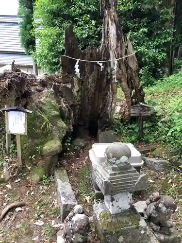 伊射奈伎神社の建物その他