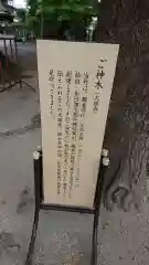 春日部八幡神社の御朱印