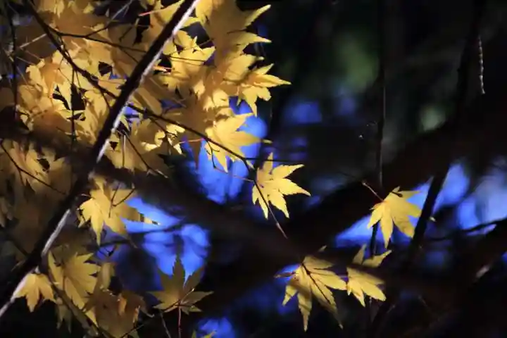 滑川神社 - 仕事と子どもの守り神の自然
