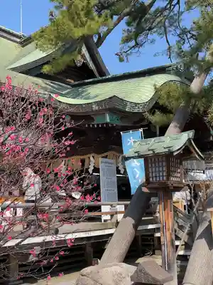 白山神社(新潟県)