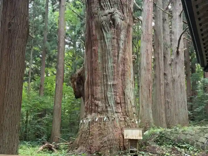 巖鬼山神社(青森県)
