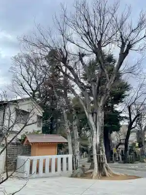 大林寺の{uncategorized: "未分類", other: "その他", undefined: "問題あり", building: "その他建物", grave: "お墓", sacred_gate: "鳥居", guardian: "狛犬", statue: "像", buddha: "仏像", history: "歴史", nature: "自然", garden: "庭園", animal: "動物", pagoda: "塔", temizu: "手水舎", mountain_gate: "山門・神門", sanctuary: "本殿・本堂", subordinate: "末社・摂社", art: "芸術", scenery: "景色", jizo: "地蔵", ema: "絵馬", goshuin: "御朱印", omikuji: "おみくじ", items: "授与品その他", amulet: "お守り", goshuincho: "御朱印帳", eats: "食事", festival: "お祭り", votive_dance: "神楽", shichigosan: "七五三参", wedding: "結婚式", experience: "体験その他", initially: "初詣", around: "周辺", anti_infection: "感染症対策"}